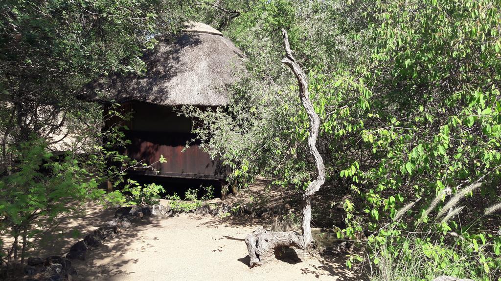 Off Beat Safaris Bush Lodge Hoedspruit Exterior foto