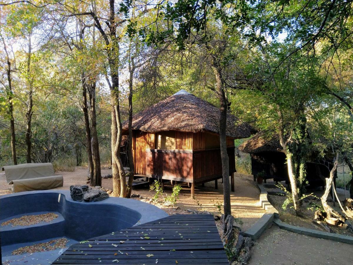 Off Beat Safaris Bush Lodge Hoedspruit Exterior foto